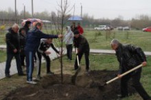 Всеукраїнська акція "Посади дерево миру - 2019"